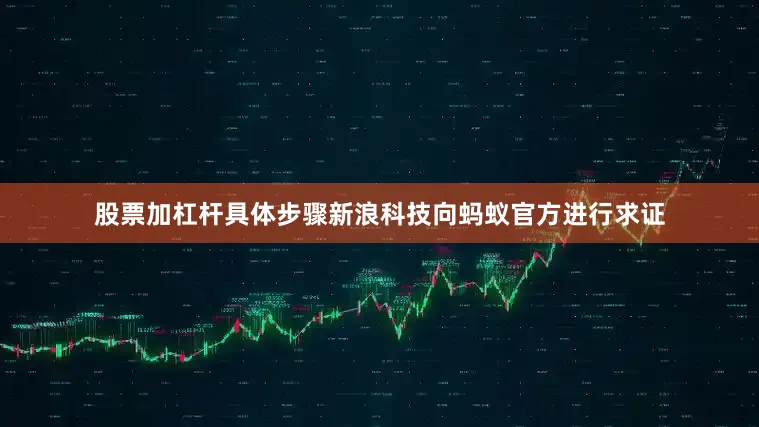 股票加杠杆具体步骤新浪科技向蚂蚁官方进行求证