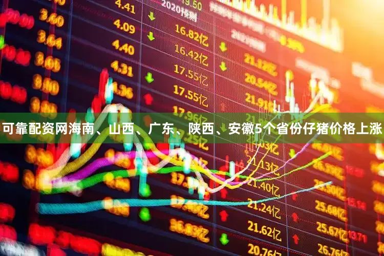 可靠配资网海南、山西、广东、陕西、安徽5个省份仔猪价格上涨