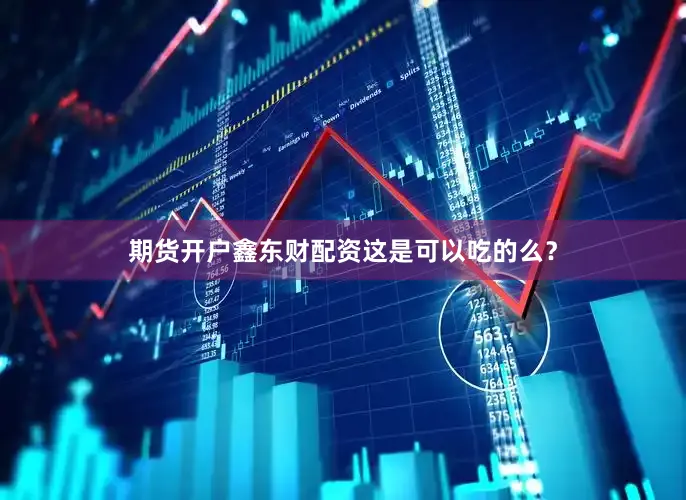 期货开户鑫东财配资这是可以吃的么？