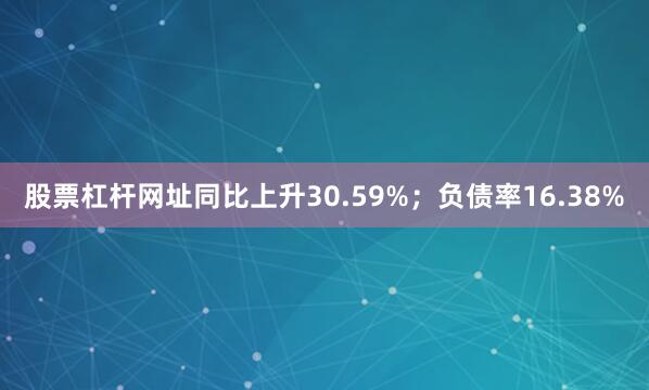 股票杠杆网址同比上升30.59%；负债率16.38%