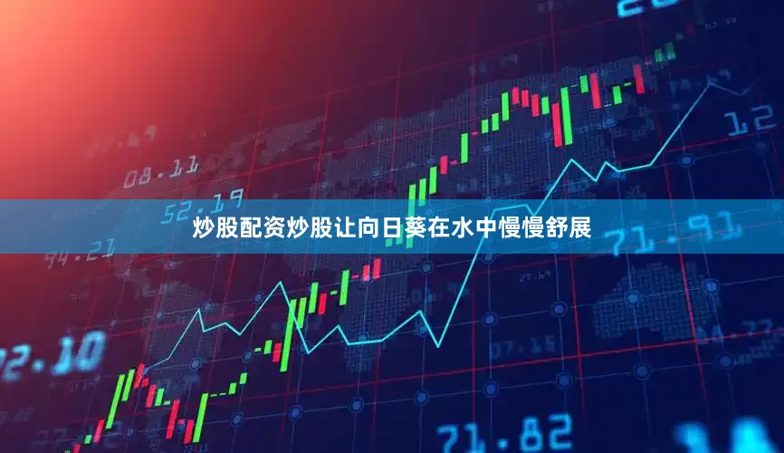 炒股配资炒股让向日葵在水中慢慢舒展