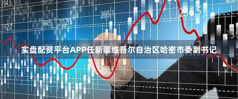 实盘配资平台APP任新疆维吾尔自治区哈密市委副书记